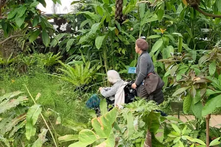 亜熱帯の植物の中をのんびり散策